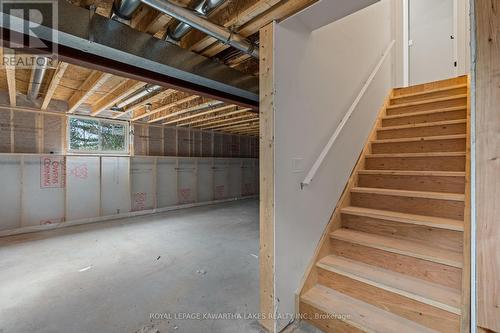 380 Highway 36, Kawartha Lakes (Bobcaygeon), ON - Indoor Photo Showing Basement