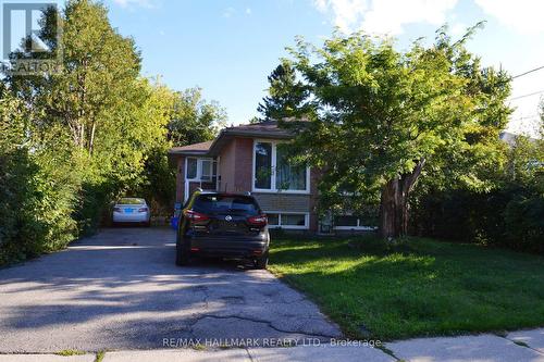 Lower - 342 Wenlock Street, Richmond Hill, ON - Outdoor