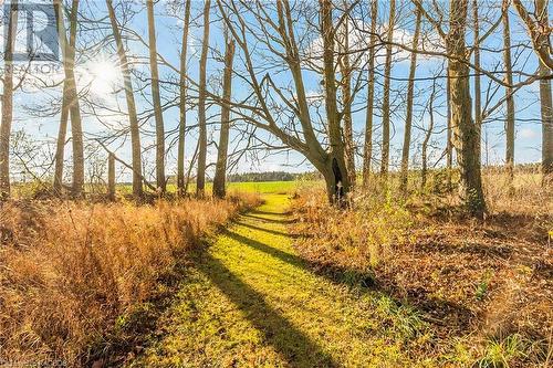 Trail on the Property. - 125 Concession 10, Saugeen Shores, ON - Indoor Photo Showing Other Room