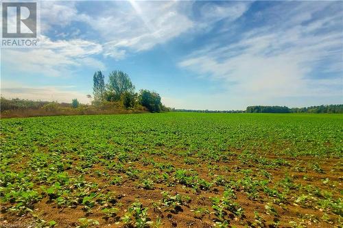 Approximately 20 acres Workable at the South End of the Property. - 125 Concession 10, Saugeen Shores, ON - Outdoor With View