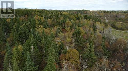 Lot Sam Hatt Road, Letang, NB 