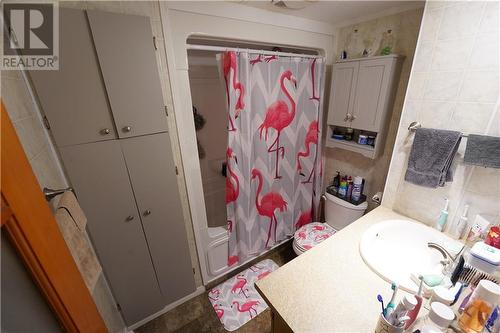 3817 Bobby Street, Alexandria, ON - Indoor Photo Showing Bathroom