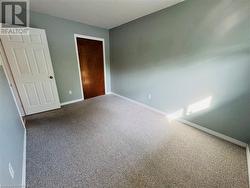 Unfurnished bedroom featuring carpet flooring and a closet - 