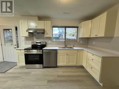 Lower Suite 20220 Chigwell Street, Maple Ridge, BC - Indoor Photo Showing Kitchen With Double Sink