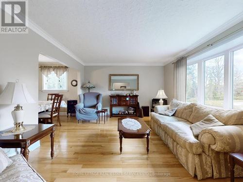 20 Braecrest Avenue, Toronto, ON - Indoor Photo Showing Living Room