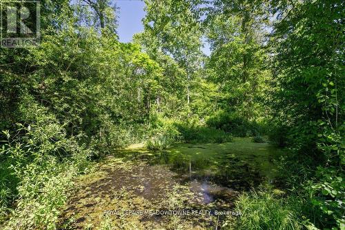 10011 Hume Court, Halton Hills, ON - Outdoor