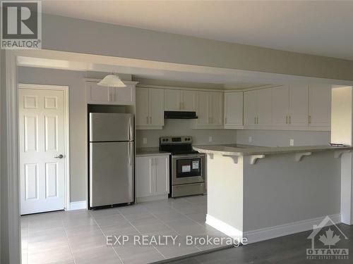 113 Cranesbill Road, Ottawa, ON - Indoor Photo Showing Kitchen With Stainless Steel Kitchen