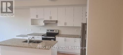 2082 Coppenwood Common, Burlington, ON - Indoor Photo Showing Kitchen With Double Sink With Upgraded Kitchen