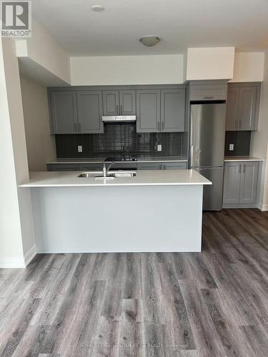 224 - 600 North Service Road E, Hamilton, ON - Indoor Photo Showing Kitchen With Double Sink