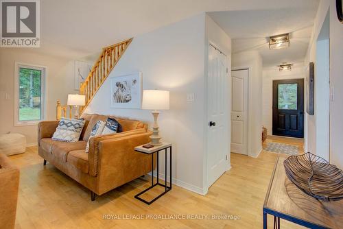 346 North Shore Road, Rideau Lakes, ON - Indoor Photo Showing Living Room