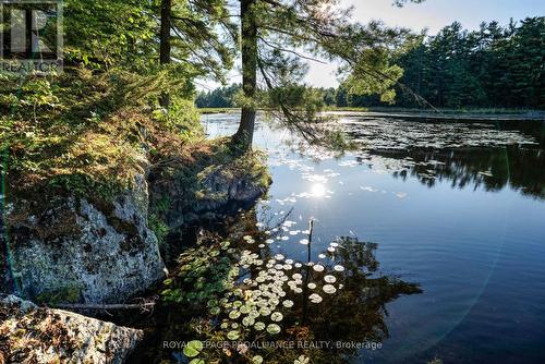 2216 Althorpe Road, Tay Valley, ON - Outdoor With Body Of Water With View