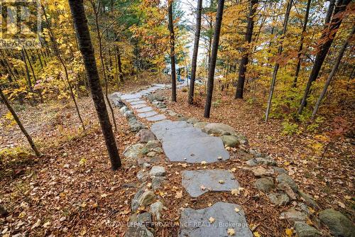 2012 Shibley Road, Central Frontenac (Frontenac Centre), ON - Outdoor With View