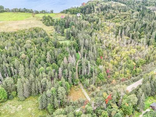 Land/Lot - 30Z Ch. White, Arundel, QC - Outdoor With View