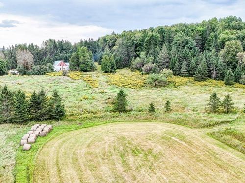 Land/Lot - 30Z Ch. White, Arundel, QC - Outdoor With View