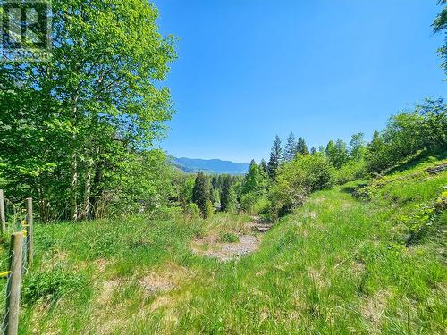 1392 Relkoff Road, Castlegar, BC - Outdoor With View