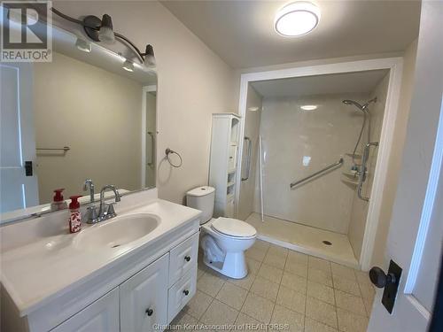 317 Earl Street, Wallaceburg, ON - Indoor Photo Showing Bathroom