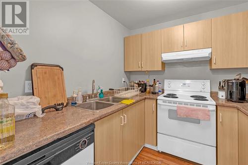 3000 Sandwich Unit# 101, Windsor, ON - Indoor Photo Showing Kitchen With Double Sink