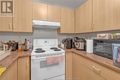 3000 Sandwich Unit# 101, Windsor, ON - Indoor Photo Showing Kitchen