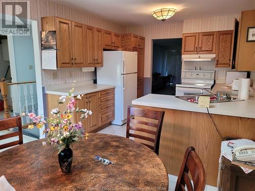 9770 Menard, Windsor, ON - Indoor Photo Showing Kitchen