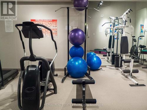 101 - 66 Bay Street S, Hamilton, ON - Indoor Photo Showing Gym Room