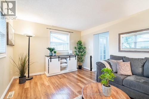 38 Golden Orchard Drive, Hamilton, ON - Indoor Photo Showing Living Room