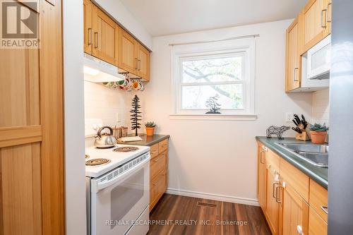 38 Golden Orchard Drive, Hamilton, ON - Indoor Photo Showing Kitchen With Double Sink