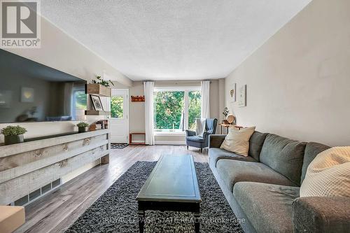 142 St Andrews Drive, Hamilton, ON - Indoor Photo Showing Living Room