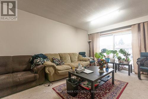 329 Hansen Road, Brampton, ON - Indoor Photo Showing Living Room