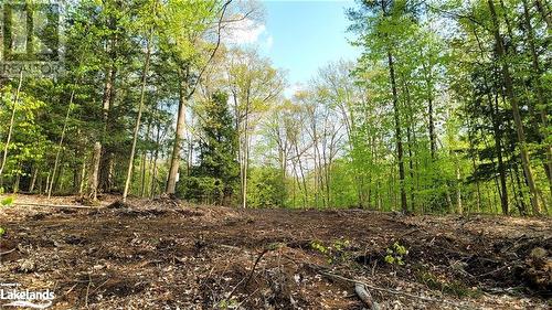 View of landscape - Lot 3 Louisa Street, Parry Sound, ON 