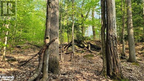 View of landscape - Lot 3 Louisa Street, Parry Sound, ON 