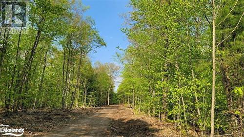 View of nature - Lot 3 Louisa Street, Parry Sound, ON 