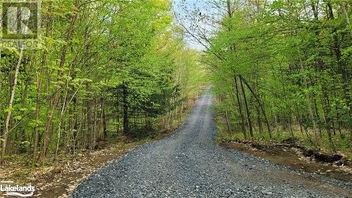 View of road - Lot 3 Louisa Street, Parry Sound, ON 