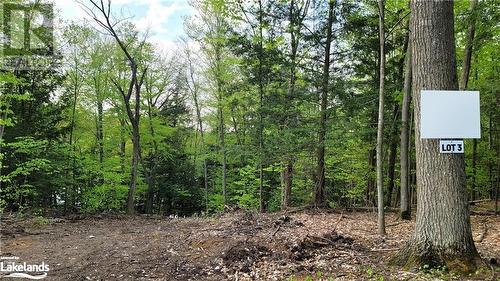 View of nature - Lot 3 Louisa Street, Parry Sound, ON 