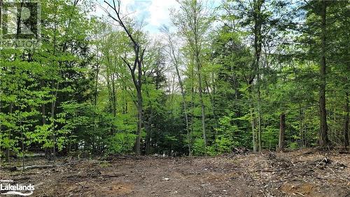 View of local wilderness - Lot 3 Louisa Street, Parry Sound, ON 