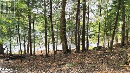 View of landscape - Lot 3 Louisa Street, Parry Sound, ON 