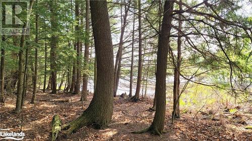 View of local wilderness with a water view - Lot 3 Louisa Street, Parry Sound, ON 