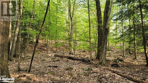 View of local wilderness - Lot 3 Louisa Street, Parry Sound, ON 