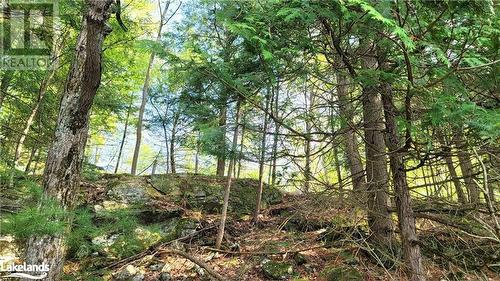 View of nature - Lot 3 Louisa Street, Parry Sound, ON 