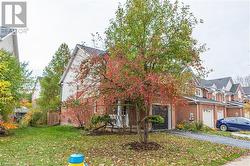 View of property hidden behind natural elements with a garage, a front yard, and covered porch - 