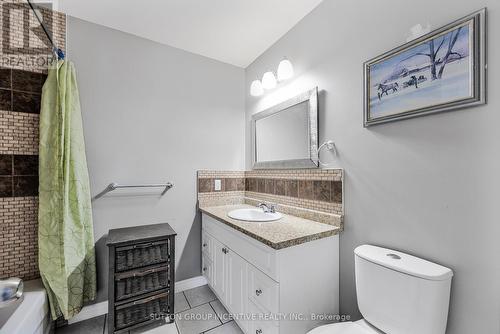 173 Main Street E, Grey Highlands, ON - Indoor Photo Showing Bathroom