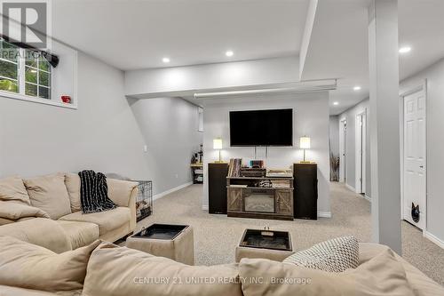 4565 Highway 7, Asphodel-Norwood, ON - Indoor Photo Showing Living Room