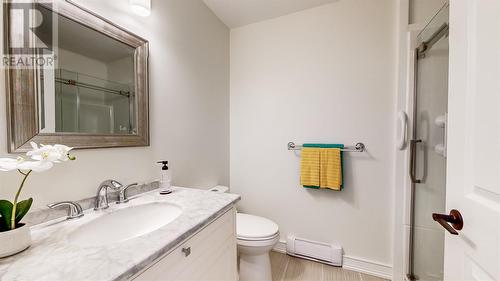 21 Clover Brae Crescent, Mount Pearl, NL - Indoor Photo Showing Bathroom