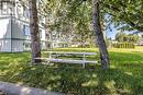 99 Pine St # 202, Sault Ste. Marie, ON  - Outdoor 