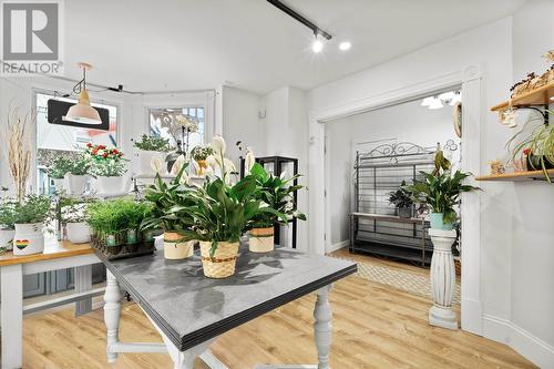 546 Main Street|Country Garden Florist, Montague, PE 