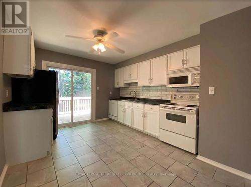 164 Letitia Street, Barrie, ON - Indoor Photo Showing Kitchen