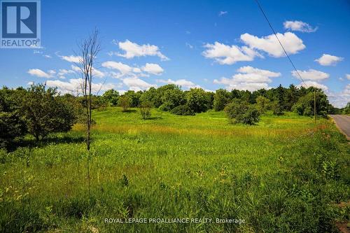 0 Old Marmora-Parcel A,C,D Road, Centre Hastings, ON 