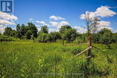 0 Old Marmora-Parcel A,C,D Road, Centre Hastings, ON 