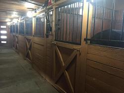 Stable - 