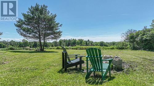 1146 Baseline Road, Kawartha Lakes (Coboconk), ON - Outdoor With View