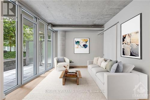 205 - 354 Gladstone Avenue, Ottawa, ON - Indoor Photo Showing Living Room